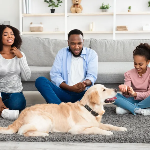Happy family with dog relaxing on clean floor, symbolising safe and stress-free wood floor sanding in Chelsea