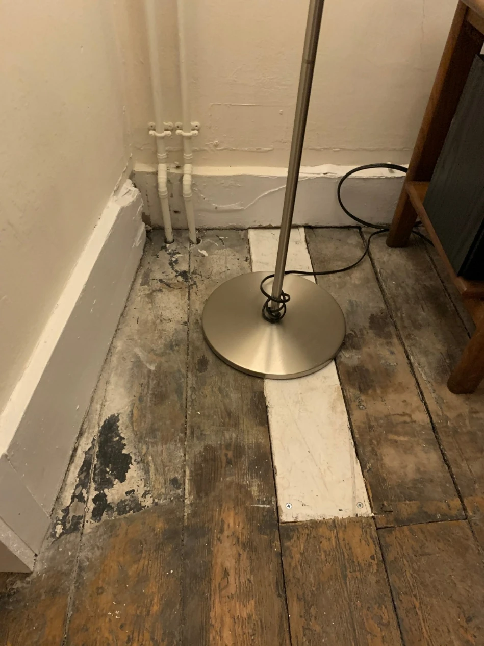 Damaged pine floorboards in a London hallway