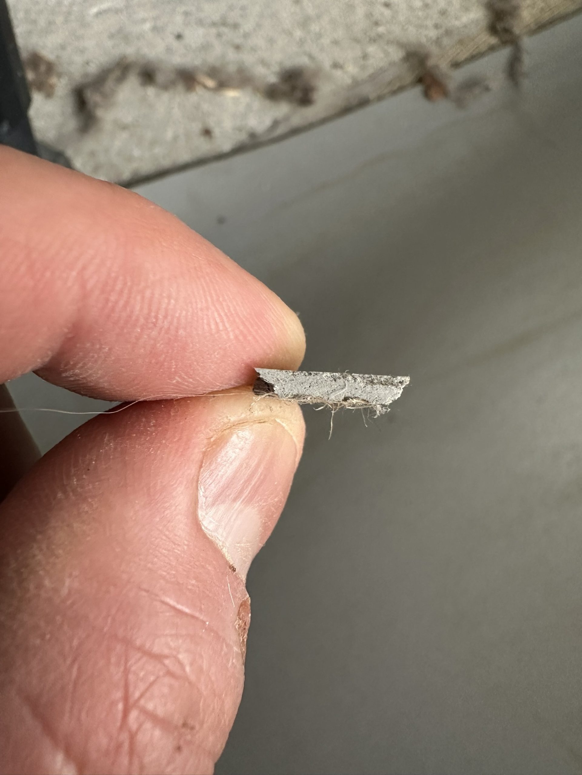 Delaminated resin floor coating sample removed during floor repair work in Kennington, South London