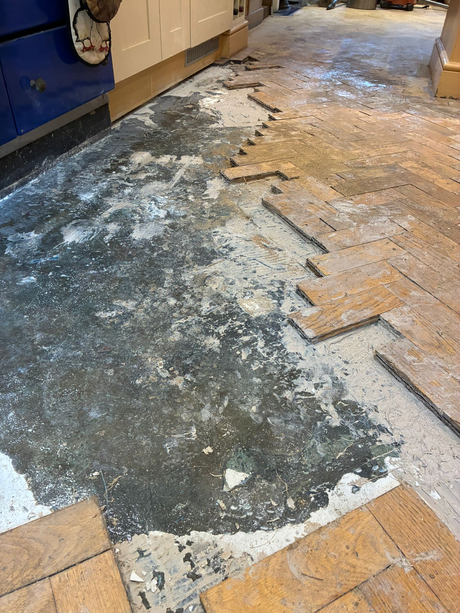 Exposed subfloor beside lifted oak parquet in Angel, London