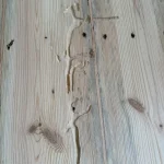 wood-worm-damage