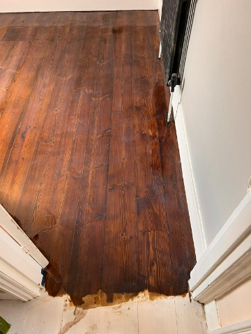 Sanded stained lacquered floorboards in Tooting, London