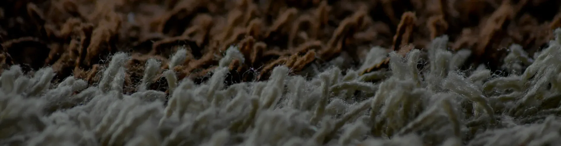 Carpet Cleaning in London