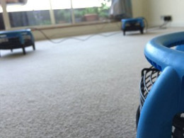 Professional-Carpet-Cleaner-London-300x225