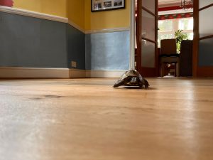 oak floor sanding and lacquering in Wanstead - Turtle inspection 1 5