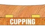 Cupping of wooden floor