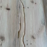 wood worm damage